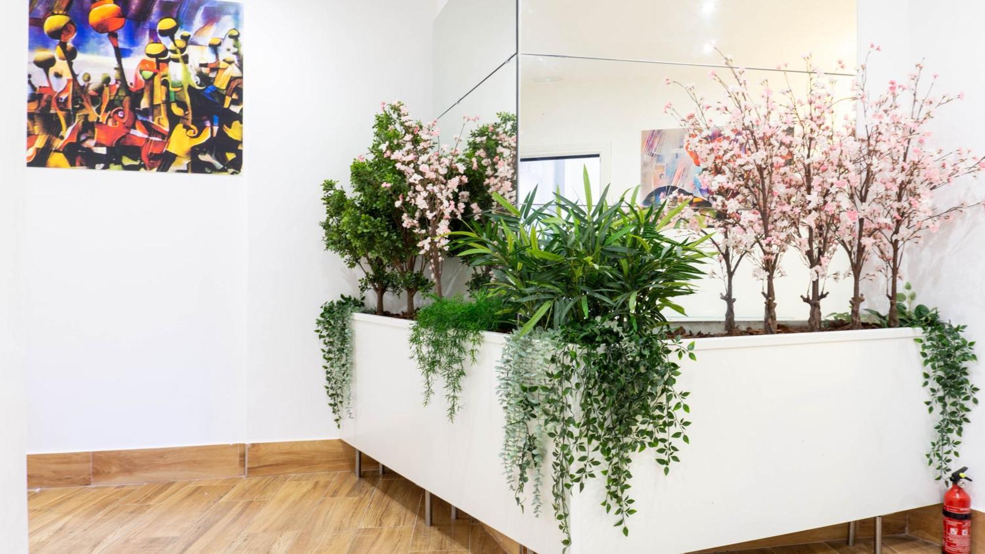 Ilustre Center Malaga